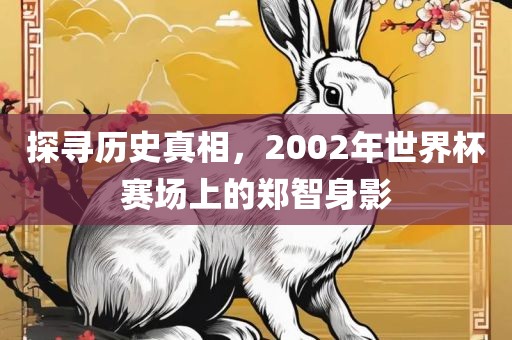 探寻历史真相丹东日丰电子有限公司，2002年世界杯赛场上的郑智身影