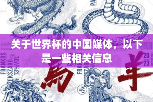 关于世丹东日丰电子有限公司界杯的中国媒体，以下是一些相关信息