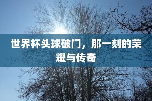 世界杯头球破门，那一刻的荣耀与传奇
