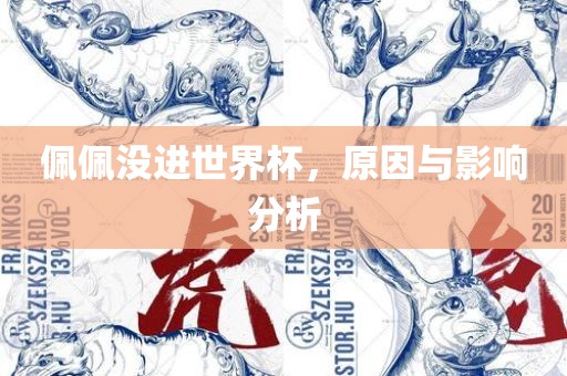 佩佩没进世界杯，原因与影响分析