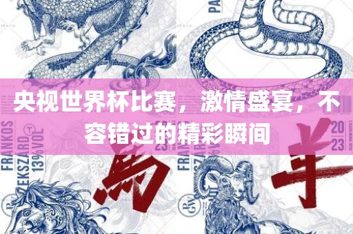 央视世界杯比赛，激情盛宴，不容错过的精彩瞬间