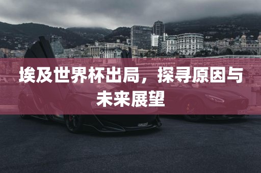 未来展望 第2页