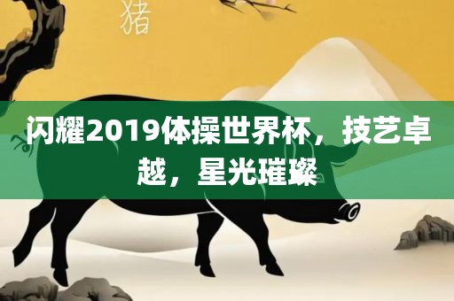 闪耀2019体操世界杯，技艺卓越，星光璀璨丹东日丰电子有限公司