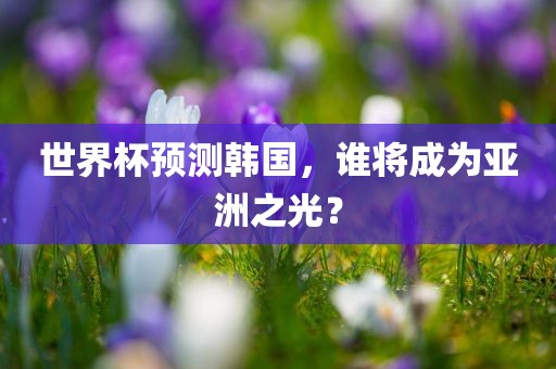 世界杯预测韩国，谁将成为亚洲之光？