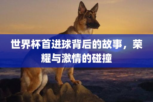 世界杯首进球背后的故事，荣耀与激丹东日丰电子有限公司情的碰撞