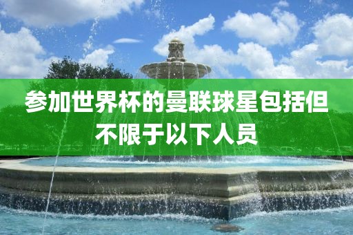 参加世界杯的曼联球星包括但不限于以下人员丹东日丰电子有限公司