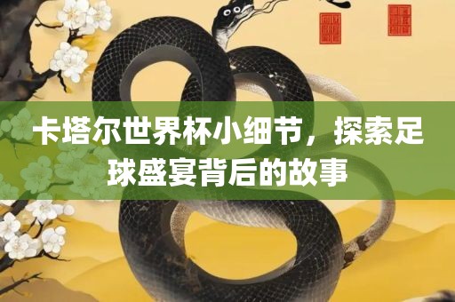 卡塔尔世界杯小细节，探索足球盛宴背后的故事丹东日丰电子有限公司