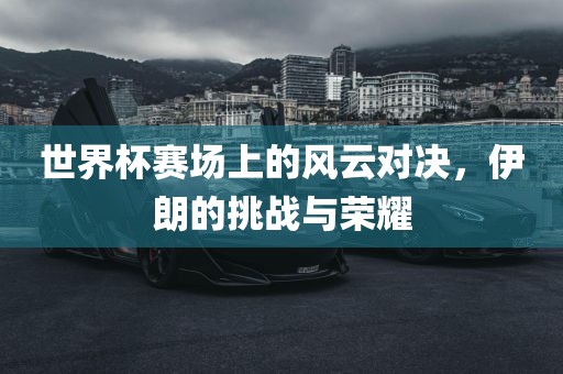 世界杯赛场上的风云对决，伊朗的挑战与荣耀丹东日丰电子有限公司