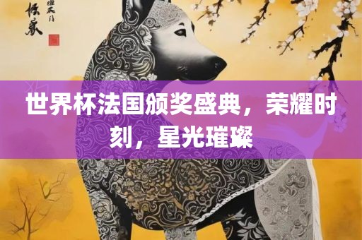 世界杯法国颁奖盛典，荣耀时刻，星光璀璨丹东日丰电子有限公司