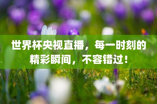 世界杯央视直播，每一时刻的精彩瞬间，不容错过！丹东日丰电子有限公司