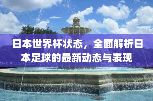 日本世界杯状态，全面解析日本足球的最新动态与表现丹东日丰电子有限公司