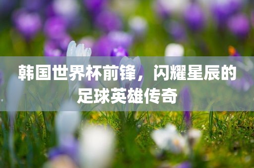 韩国世界杯前锋，闪耀星辰的足球英丹东日丰电子有限公司雄传奇