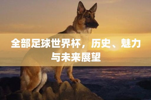 全部足球世界杯，历史、魅力与未来展望丹东日丰电子有限公司
