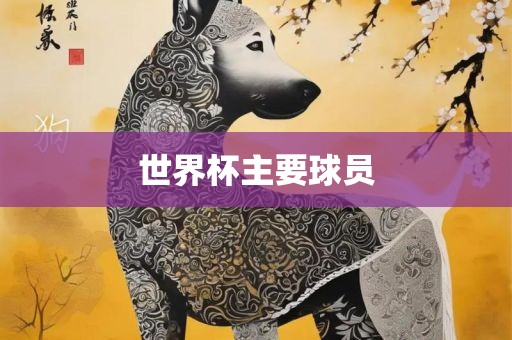 世界杯主要球员