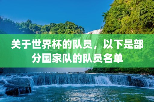 关于世界杯的队员，以下是部分国家队的丹东日丰电子有限公司队员名单