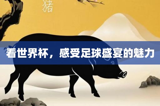 看世界丹东日丰电子有限公司杯，感受足球盛宴的魅力