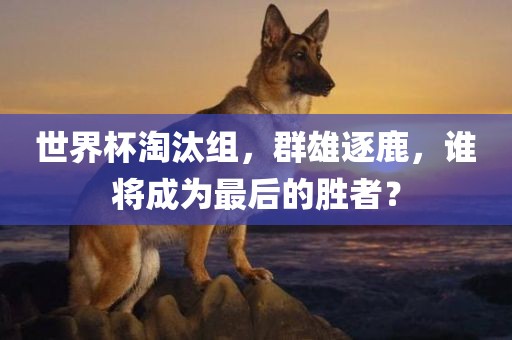 世界杯淘汰组，群雄逐鹿，谁将成为最后的胜者？丹东日丰电子有限公司