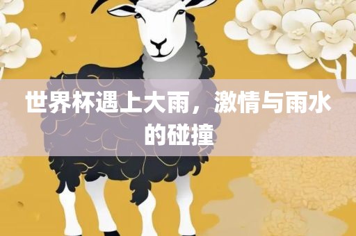 世界杯丹东日丰电子有限公司遇上大雨，激情与雨水的碰撞