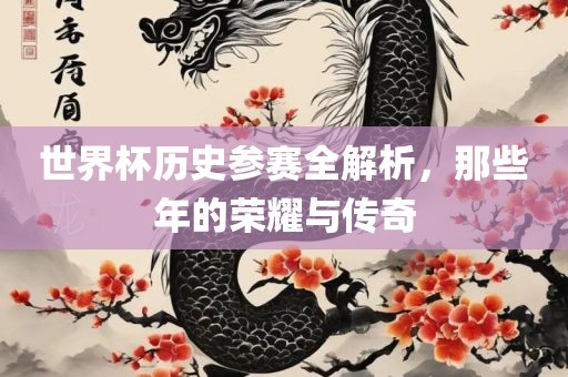 世界杯历史参赛全丹东日丰电子有限公司解析，那些年的荣耀与传奇