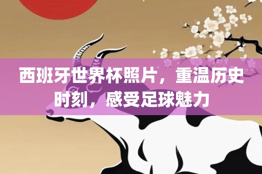 西班牙世界杯照片，重温历史时刻，感受足球魅力丹东日丰电子有限公司