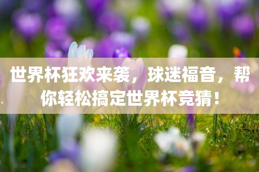 世界杯狂欢来袭，球迷福音，帮你轻松搞定世界杯竞猜！丹东日丰电子有限公司