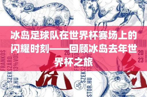 冰岛足球队在世界杯赛场上的闪耀时刻——回顾冰岛去年世界杯之旅丹东日丰电子有限公司