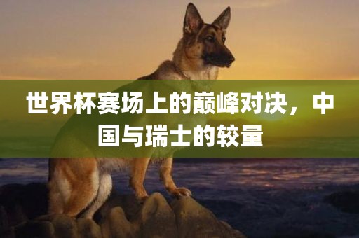 世界杯赛场上的巅峰对决，中国与瑞士的较量丹东日丰电子有限公司