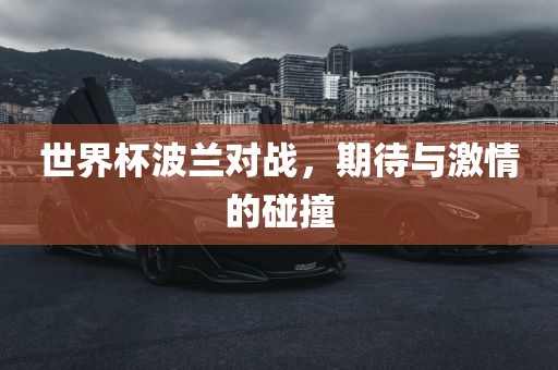 世界杯波兰对战，期待与激情的碰撞