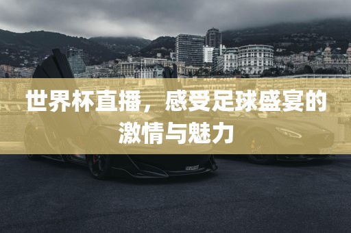 世界杯直播，感受足球盛宴的激情与魅力丹东日丰电子有限公司