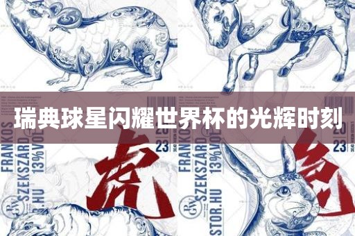 瑞典球星闪耀世界杯的光辉时刻丹东日丰电子有限公司