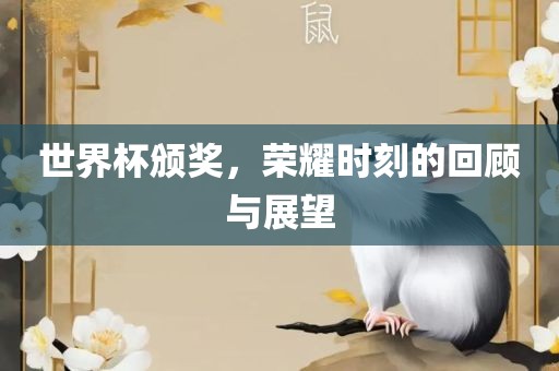 世界杯颁奖，荣耀时刻的回顾与展望丹东日丰电子有限公司