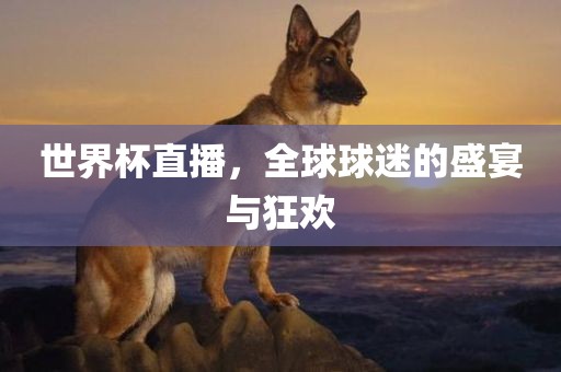 世界杯直播，全球球迷的盛宴与狂欢丹东日丰电子有限公司