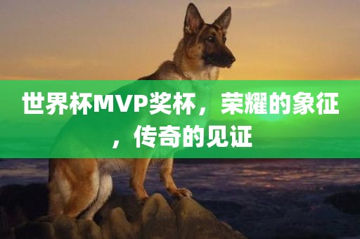 世界杯MVP奖杯，荣耀的象征，传奇的见证