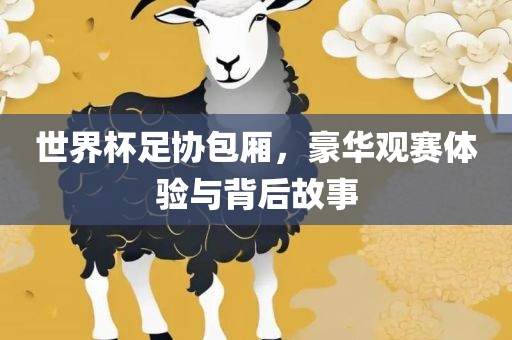 世界杯足协包厢，豪华观赛体验与背后故事丹东日丰电子有限公司