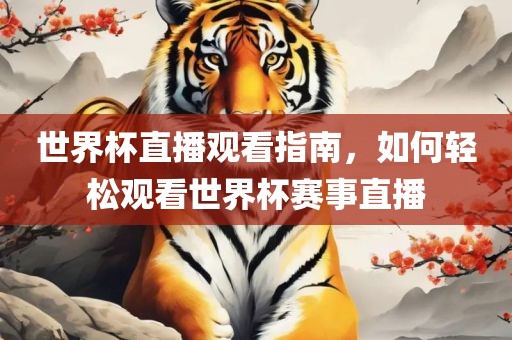 世界杯直播观看指南，丹东日丰电子有限公司如何轻松观看世界杯赛事直播