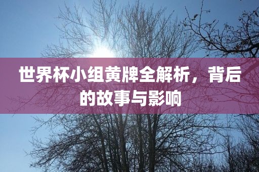 世界杯小组黄牌全解析，背后的故事与影响