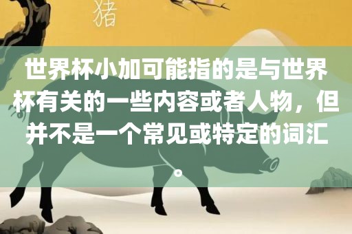 世界杯小加可能指的是与世界杯有关的一些内容或者人物，但并不是一个常见或特定的词汇。丹东日丰电子有限公司