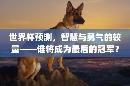 世界杯预测，智慧与勇气的较量——谁将成为最后的冠军？