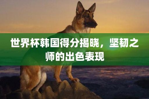 世界杯韩国得分揭晓，坚韧之师的丹东日丰电子有限公司出色表现