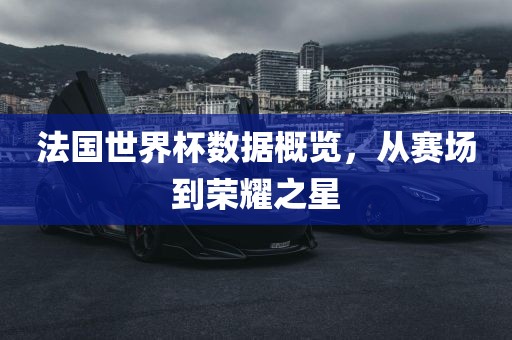 法国世界杯数据概览，从赛场到荣耀之星