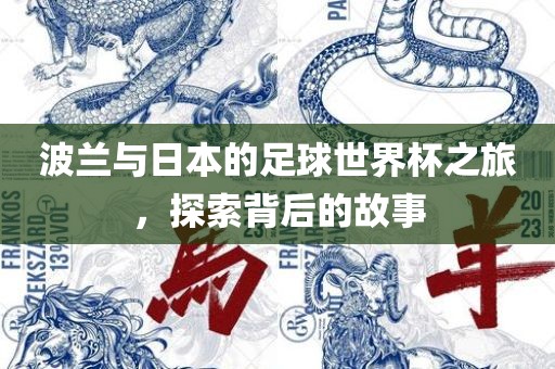 波兰与日本的足球世界杯之旅，探索背后的故事丹东日丰电子有限公司