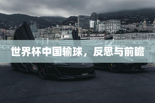 世界杯中国输球，反思与前瞻丹东日丰电子有限公司