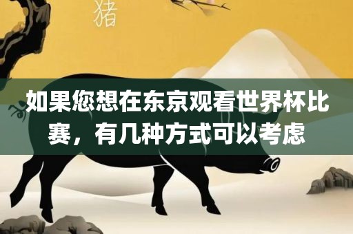 如果您想在东京观看世界杯比赛，有几种方式可以考虑
