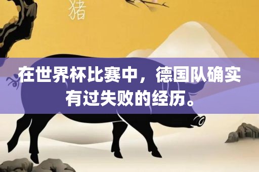 在世界杯比赛中，德国队确实有过失败的经历。丹东日丰电子有限公司