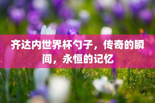 齐达内世界杯勺子，传奇的瞬间，永恒的记忆