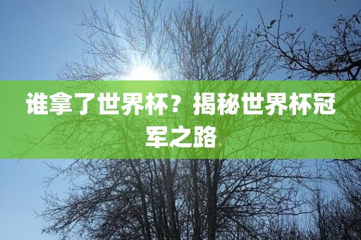 谁拿了世界杯？揭秘世界杯冠军丹东日丰电子有限公司之路