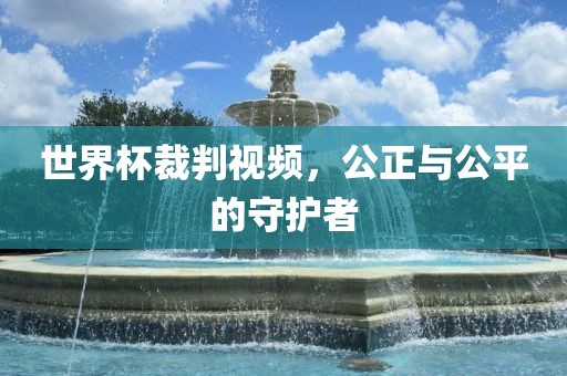 世界杯裁判视频，公正与公平的守护者丹东日丰电子有限公司