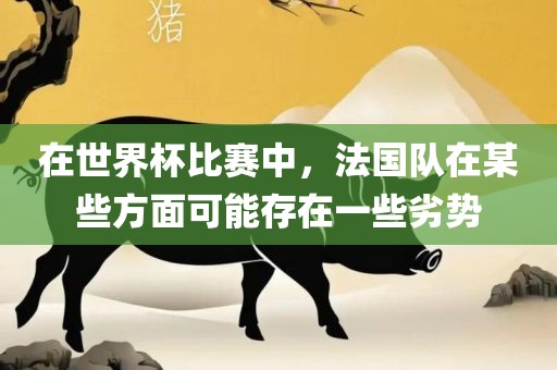 在世界杯比赛中，法丹东日丰电子有限公司国队在某些方面可能存在一些劣势