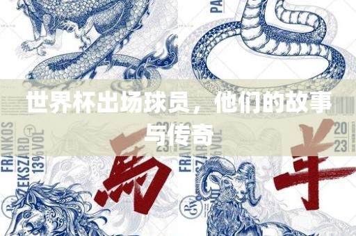 世界杯出场球员，他们的故事与传奇丹东日丰电子有限公司