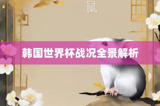 韩国世界杯战况全景解析